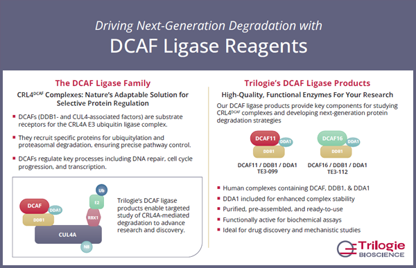 DCAF Ligase Reagents image