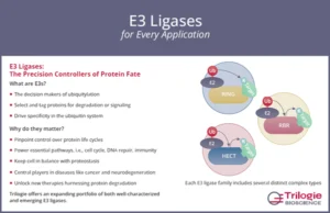 E3 Ligases for Every Application
