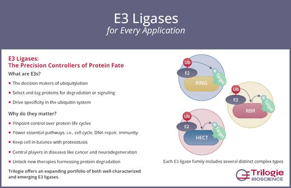 E3 Ligases for Every Application