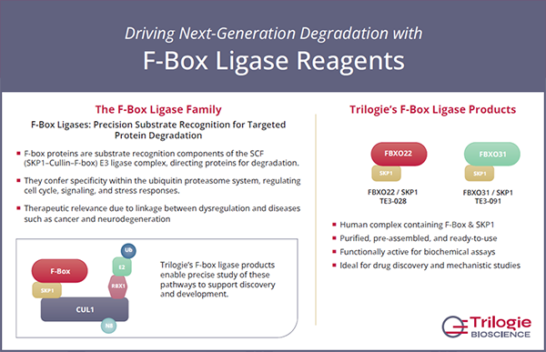F-Box Ligase Reagents