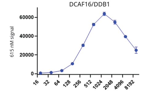 Hook effect analysis of DCAF16 / DDB1 and BRD4