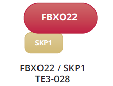 FBXO22 / SKP1 Complex