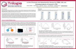 In Vitro Proximity and Ubiquitylation Assays