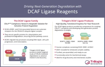 DCAF Ligase Reagents image