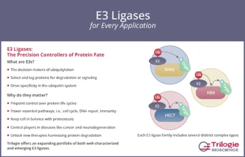 E3 Ligases for Every Application